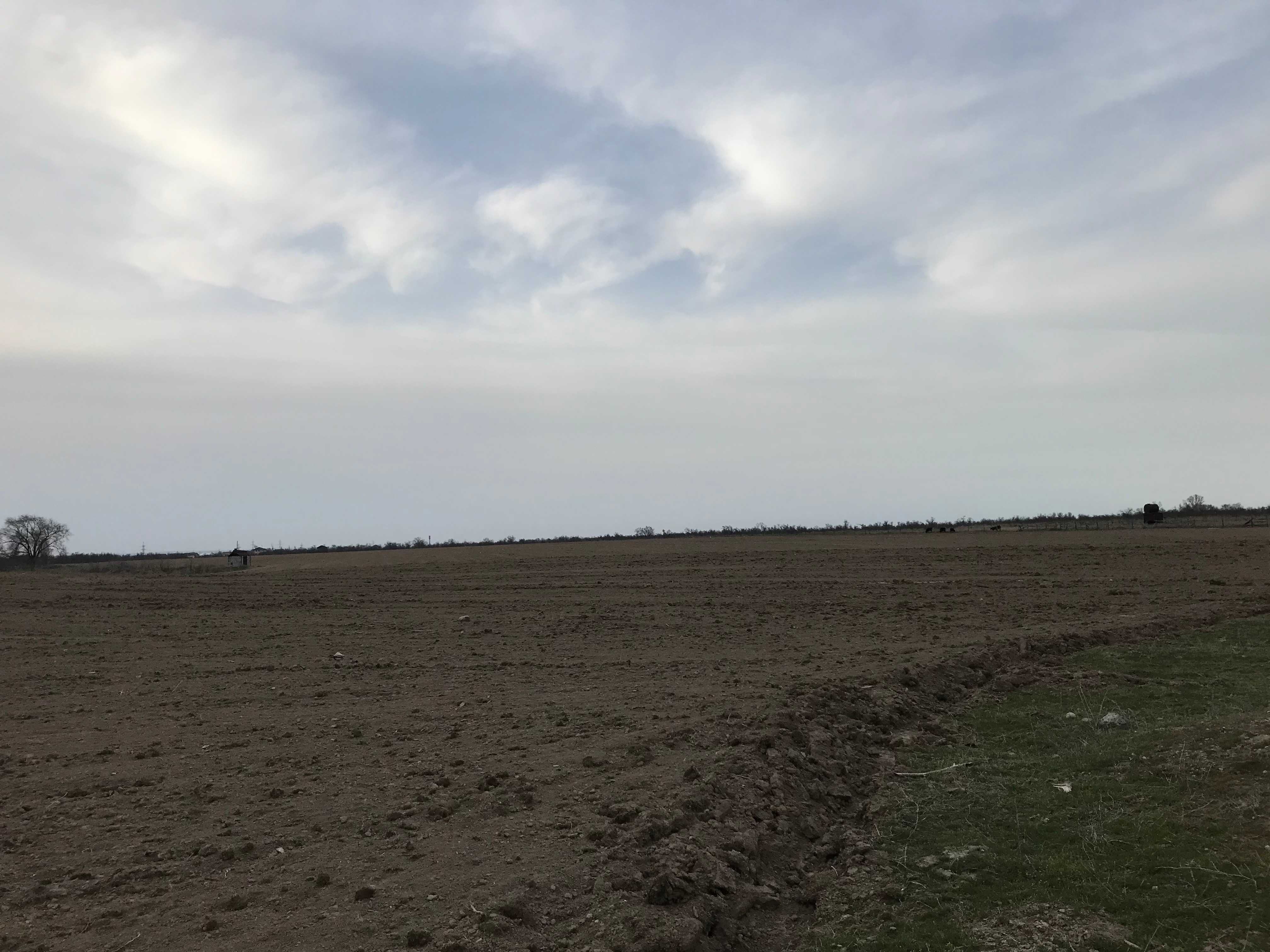 Земля в очень хорошем месте