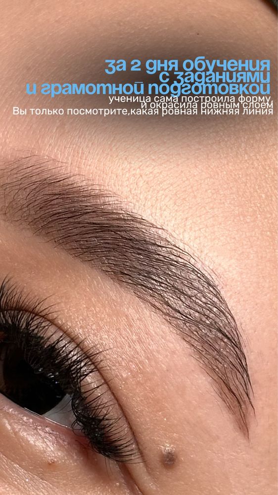 Обучение курс "БРОВИСТ С НУЛЯ"
