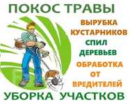 Покос травы и кронирование деревьяв