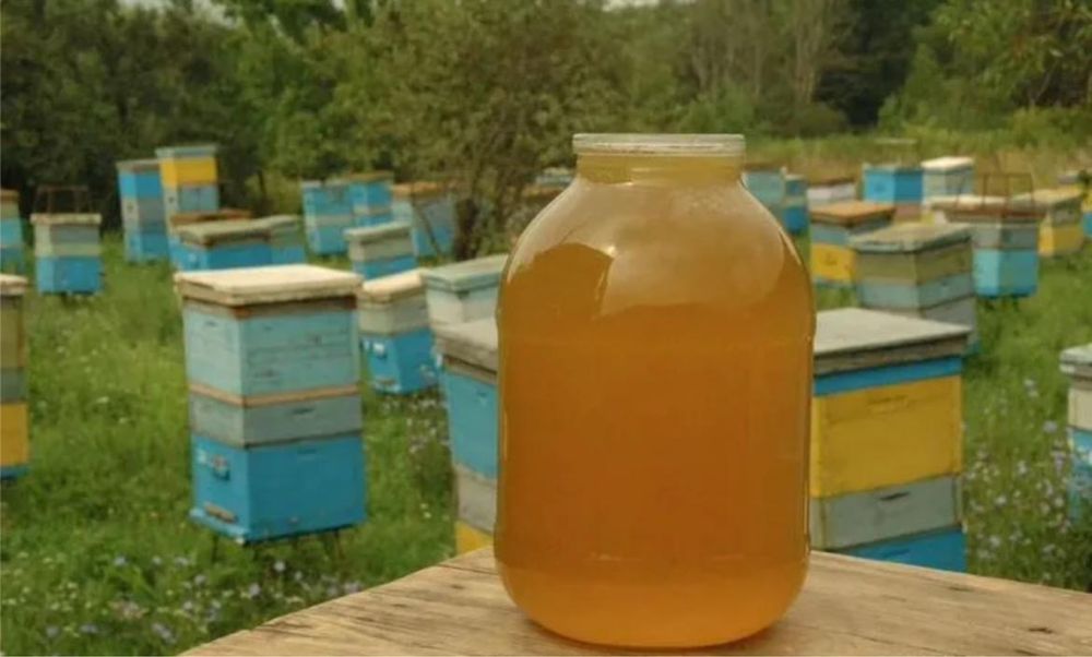 Продам домашний мёд