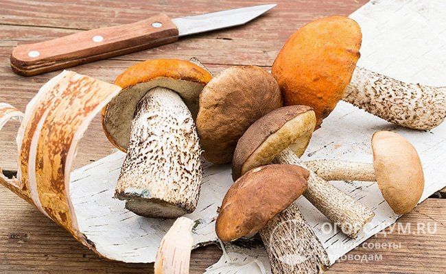 Продам грибную икру