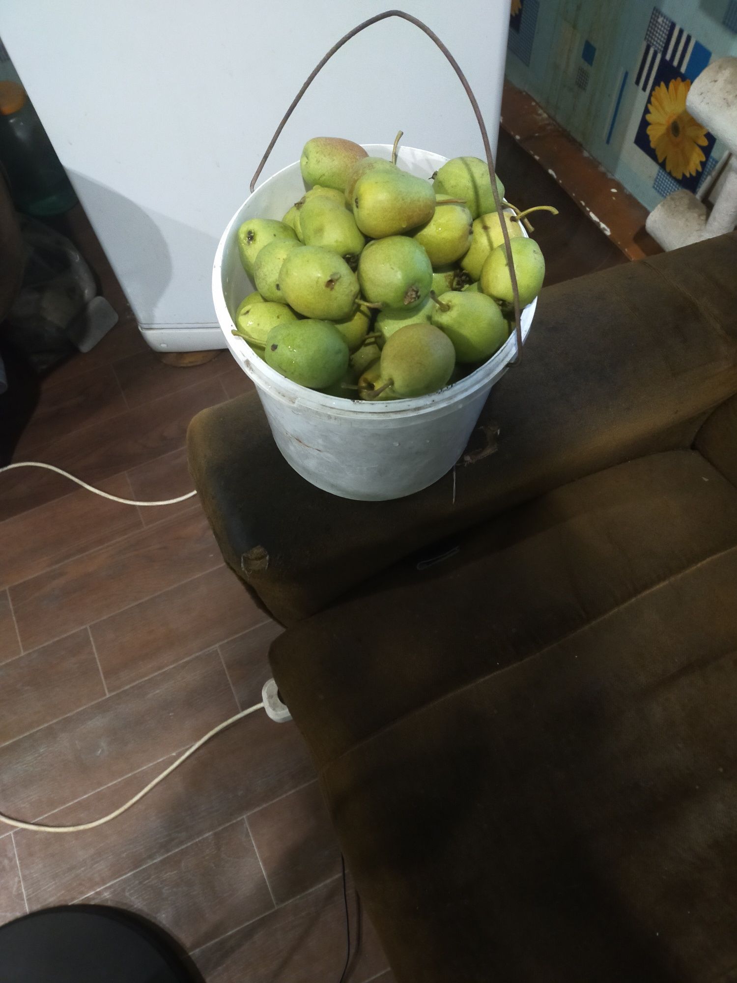 Продам груши очень вкусные