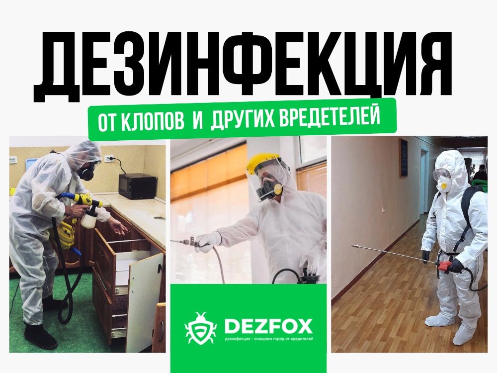 Дезинфекция От Клопов Тараканов Мышей Санобработка В Помещение Кафе
