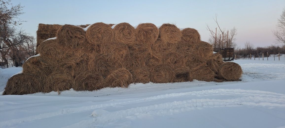 Сено в тюках и рулоннах