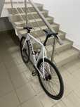 Gray F10 fixed gear