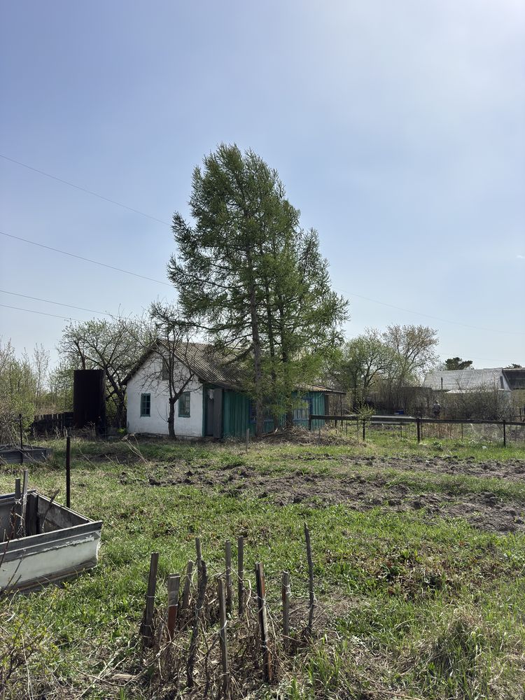 Продаёться дача 12 соток общество «Оптимист» по Павлодарской трассе.