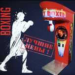 Силомер Rocky Boxer