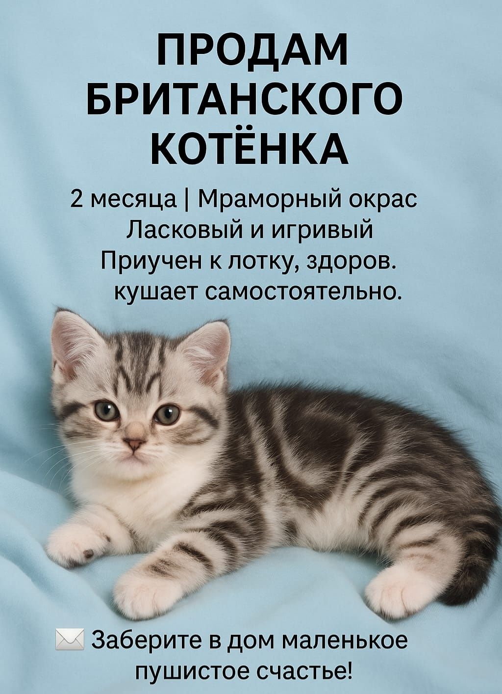 Животные котята .