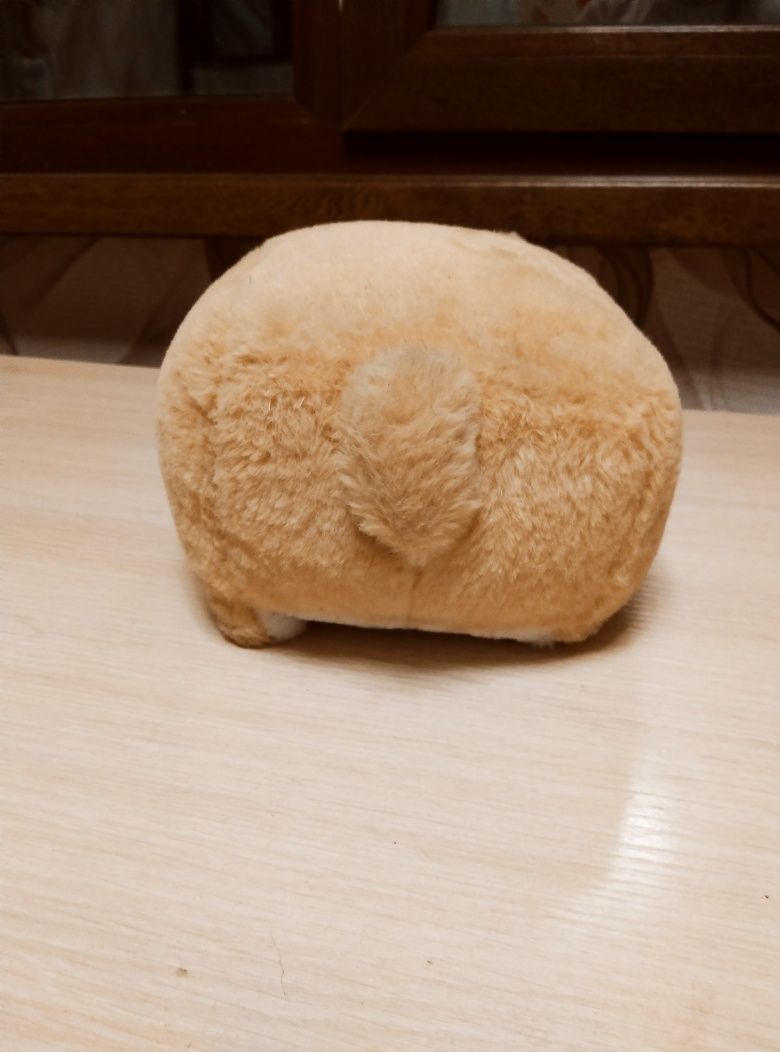 Котокуб кот куб квадратный