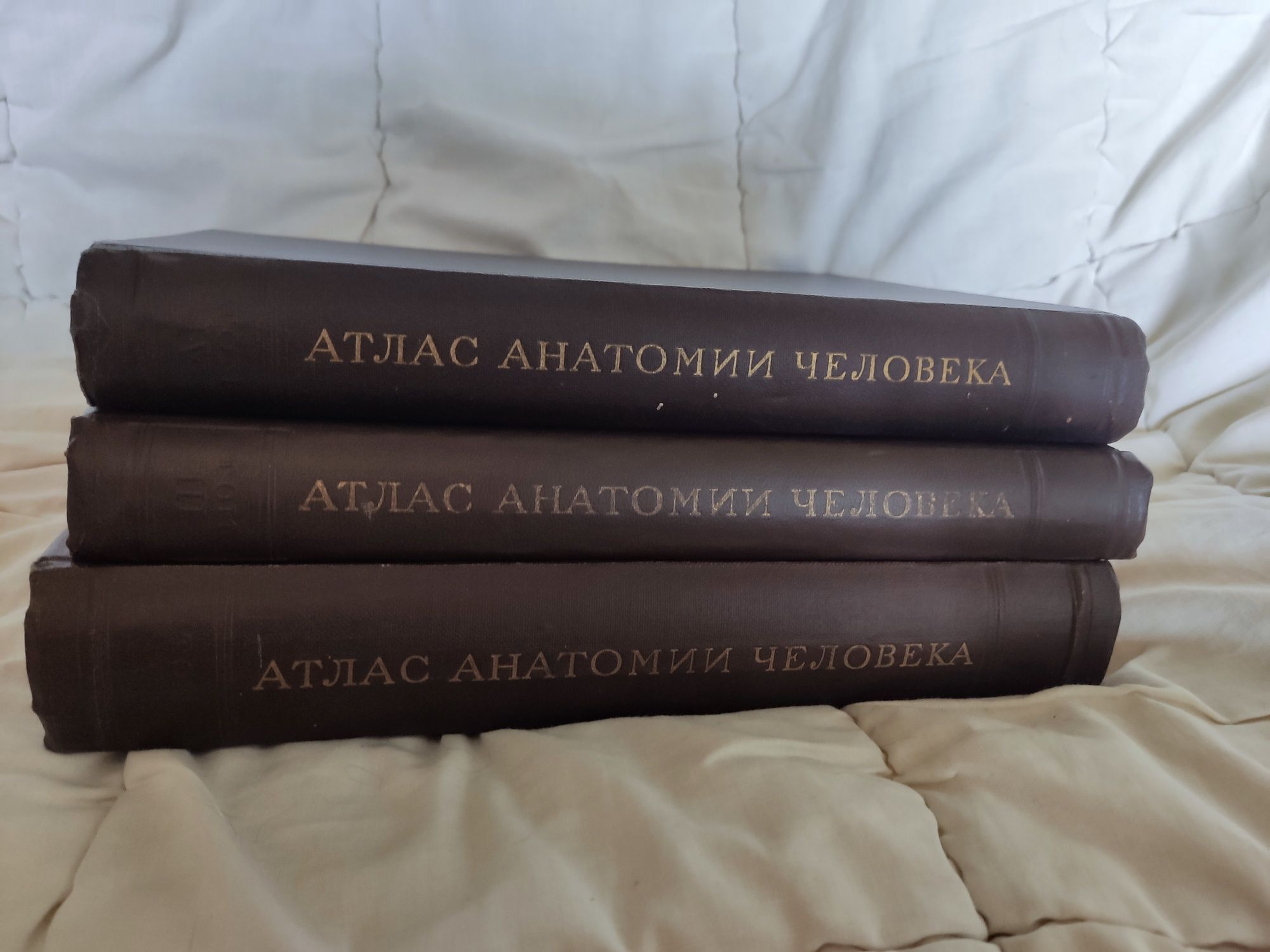 Атлас анатомии человека авт. Воробьев и Синельников 1948 г