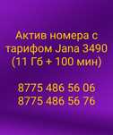 Актив номера Jana 3590