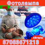 Фото лампа от желтушки для новорожденных