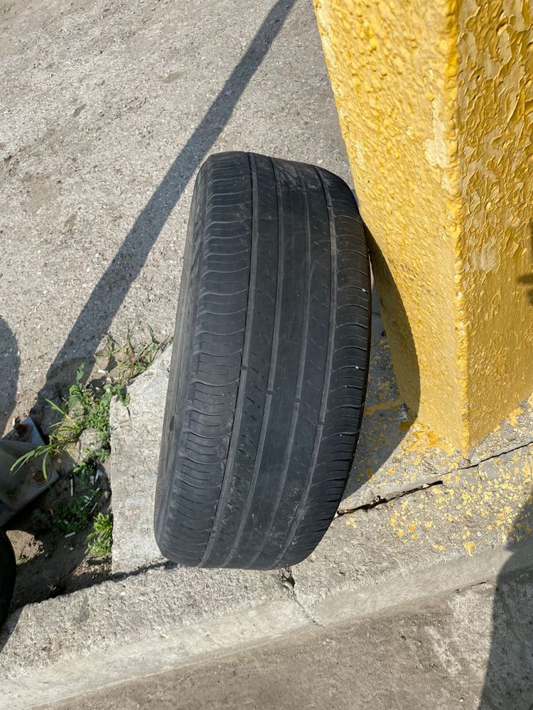 шины летние Michelin