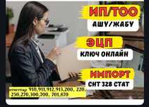 Ип и Тоо отчеты, открытие и закрытие, с енпф порог снимать