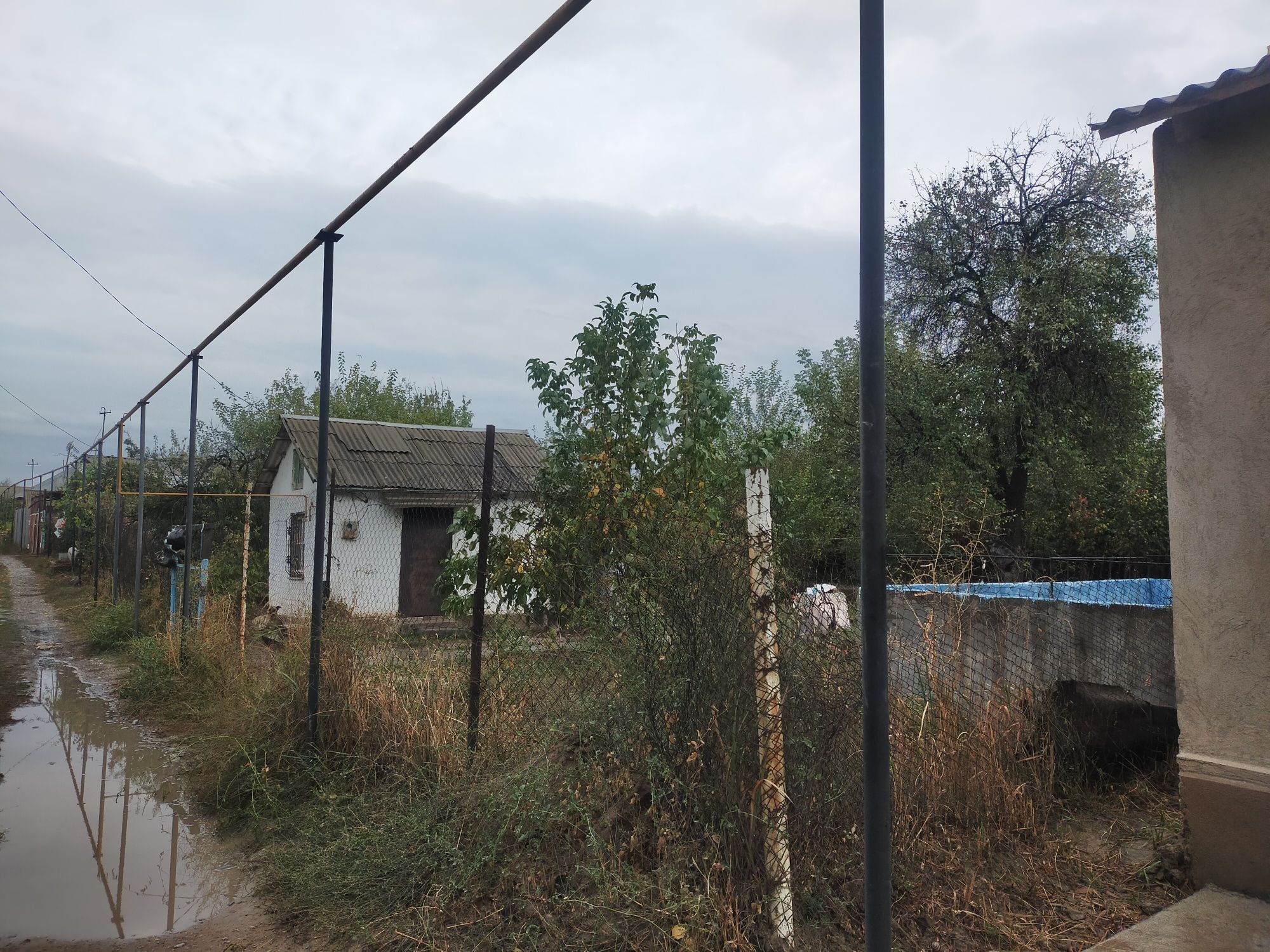 Дача сатылады. Қайнар бұлақ