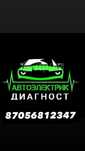 Автоэлектрик,дымогенератор,диагностика авто
