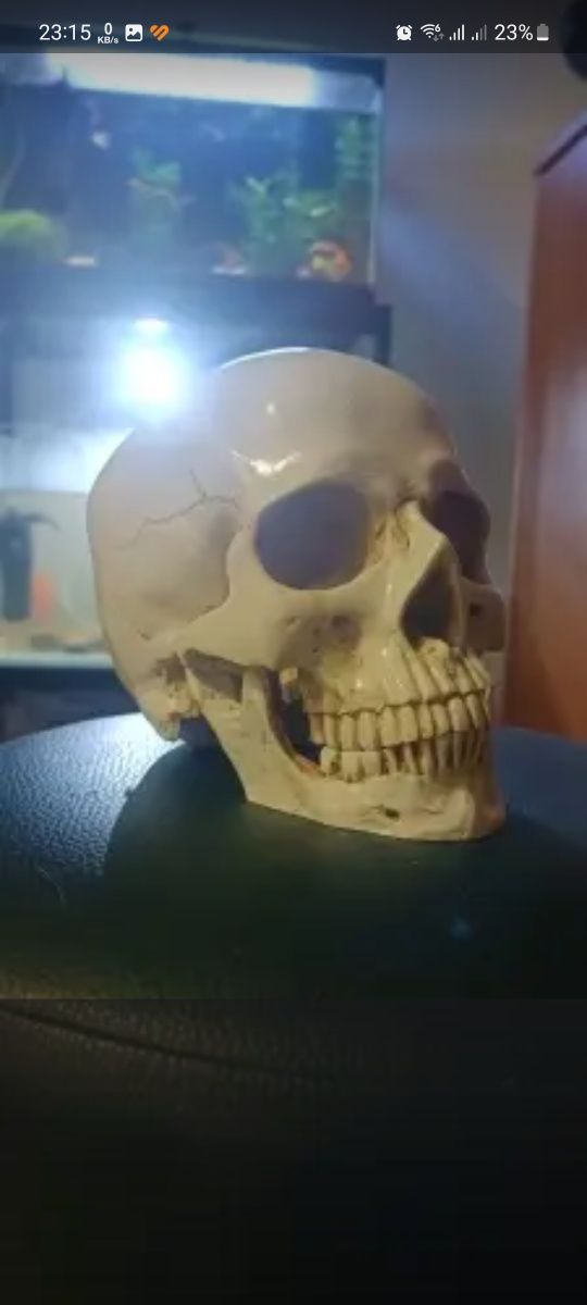 Череп Хэллоуин Статуэтка