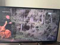 Телевизор Sony KDL 32R503C