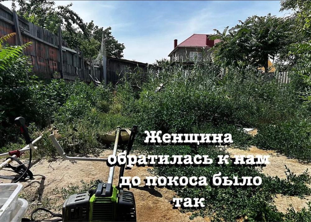 Покос травы спил деревьев
