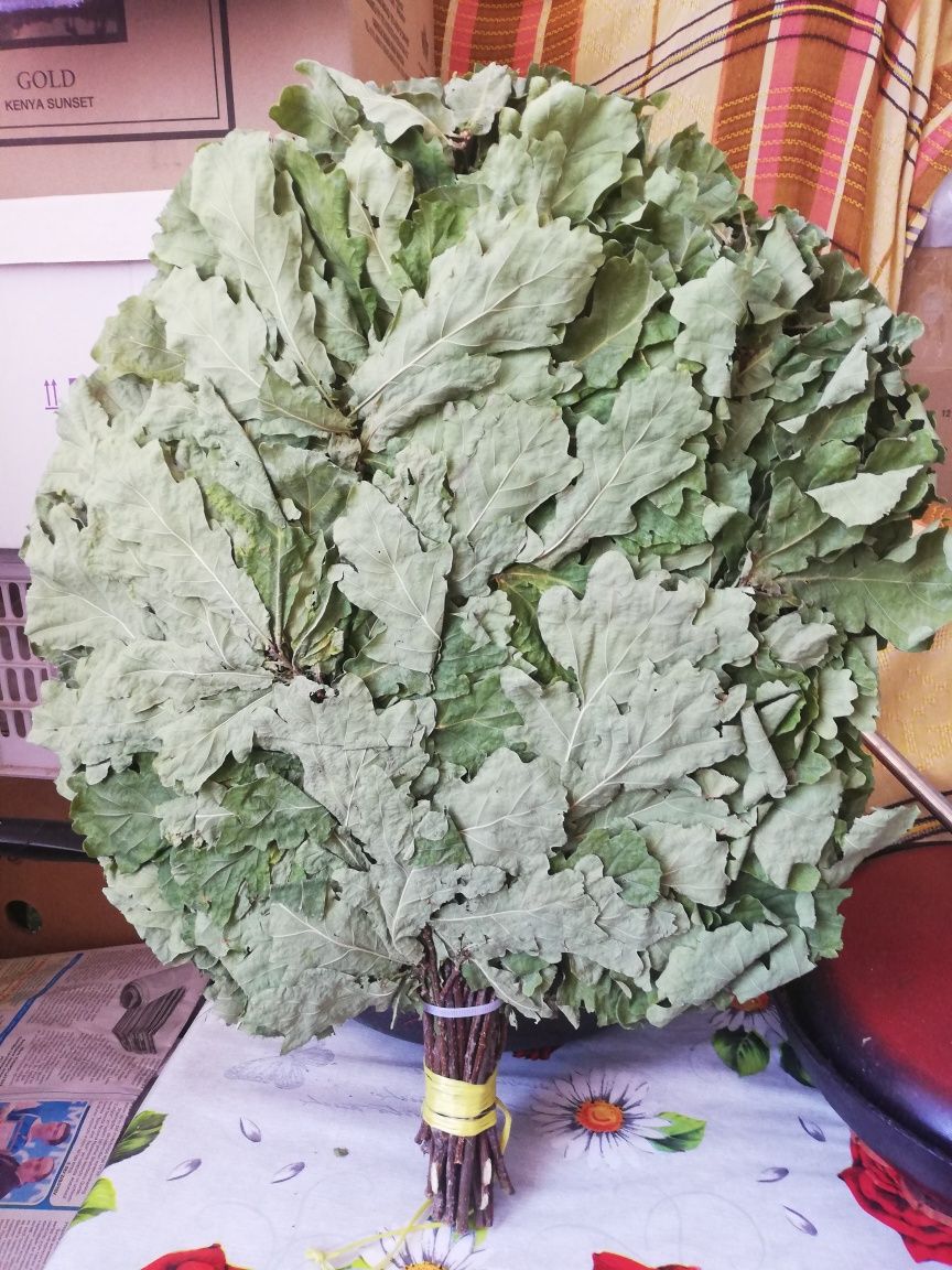 Продам веник дувовыи болшои свежи