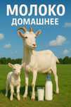 Молоко домашнее продам
