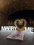 Marry me happy birthday