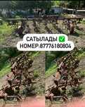 Культиватор для трактор