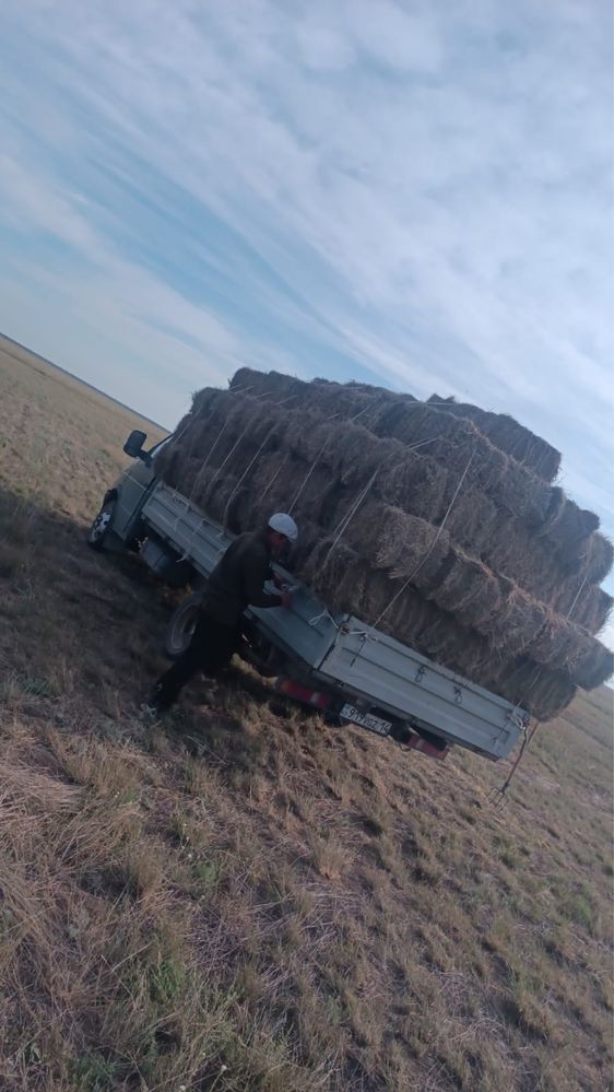 Продам тюки житняк сено