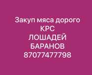 Зак.уп мяса дорого