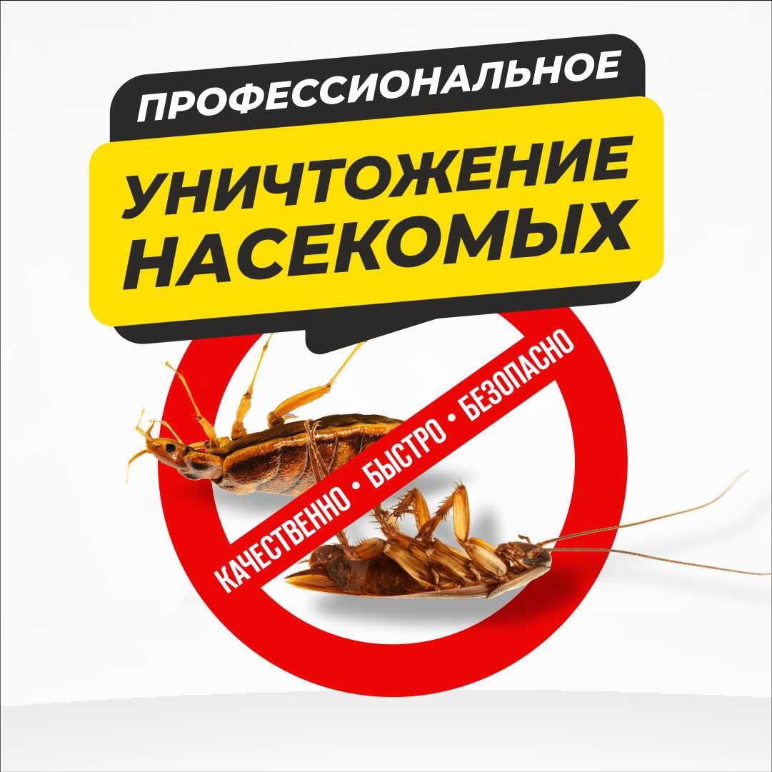 Дезинфекция Уничтожение клопов крыс муравьев комаров тараканов клещей