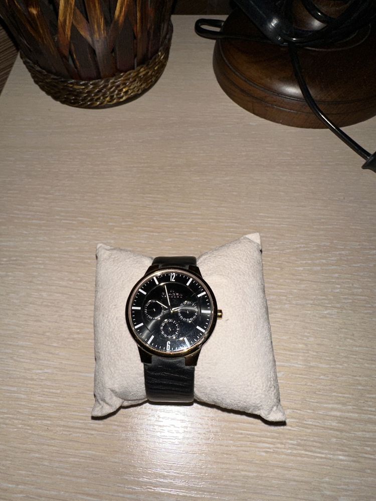 Часы Skagen Denmark