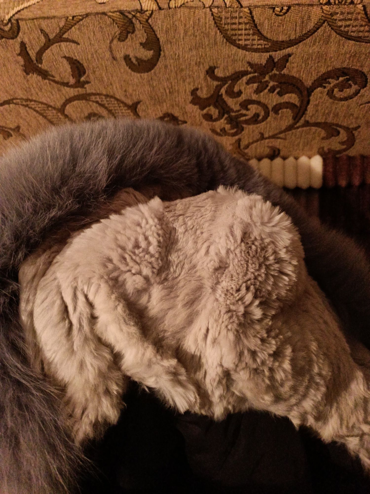 Верхняя одежда парка