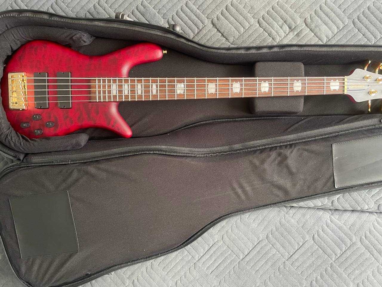 Бас гитара Spector Euro LX 5 Black Cherry