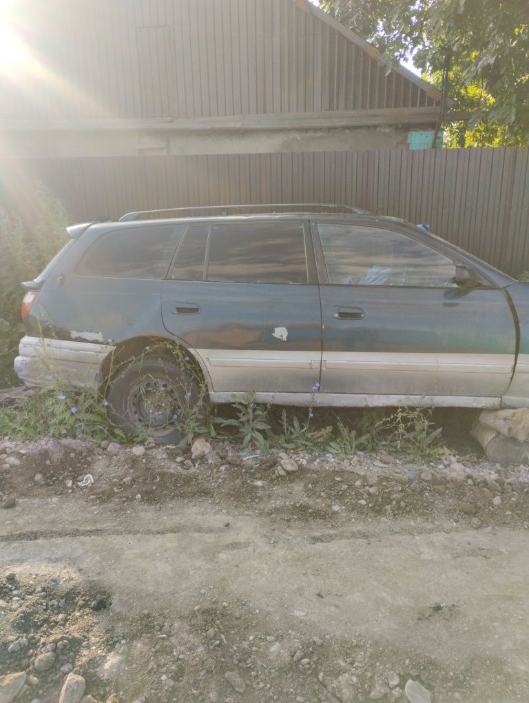 Калдина по кузову