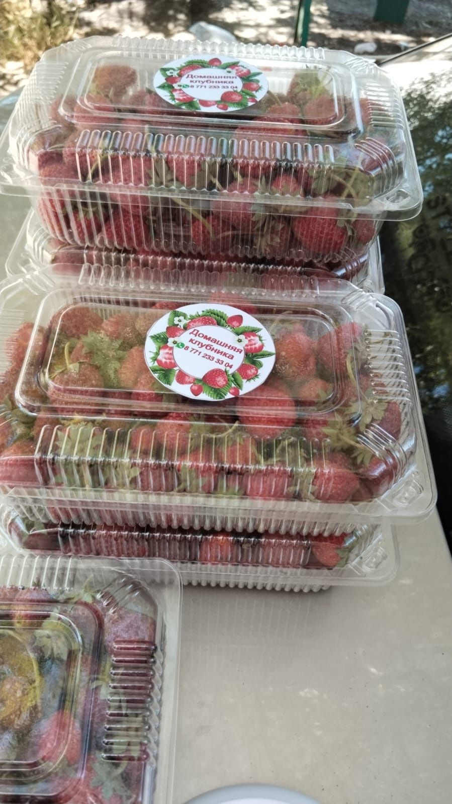Клубника домашние