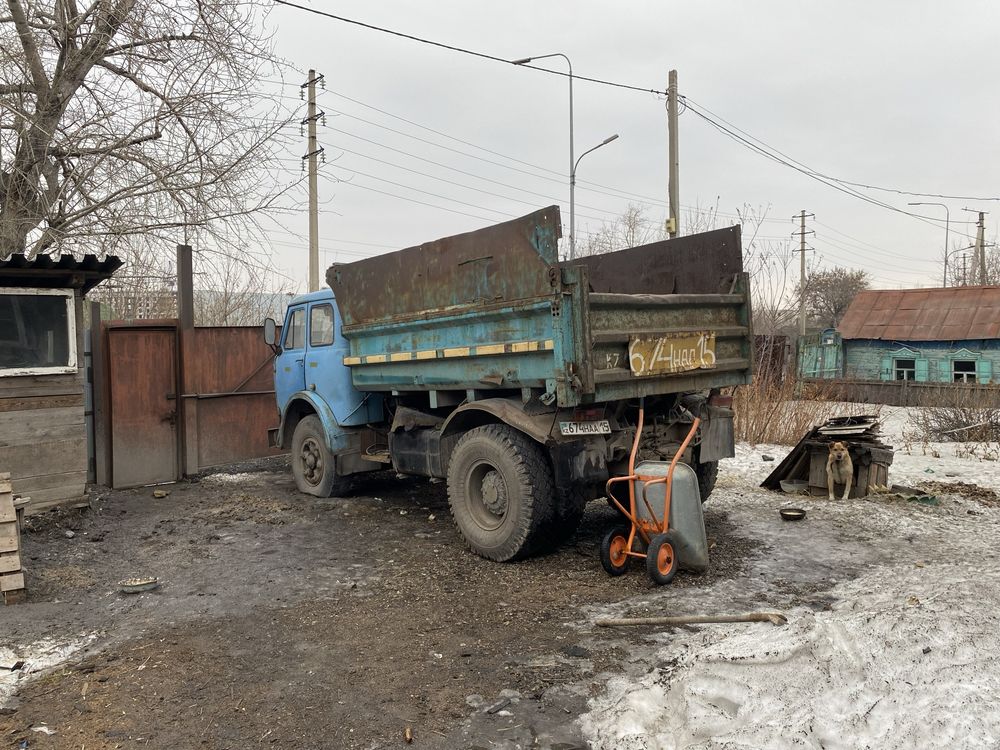 Рабочая лошадка !