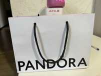 Pandora без чека