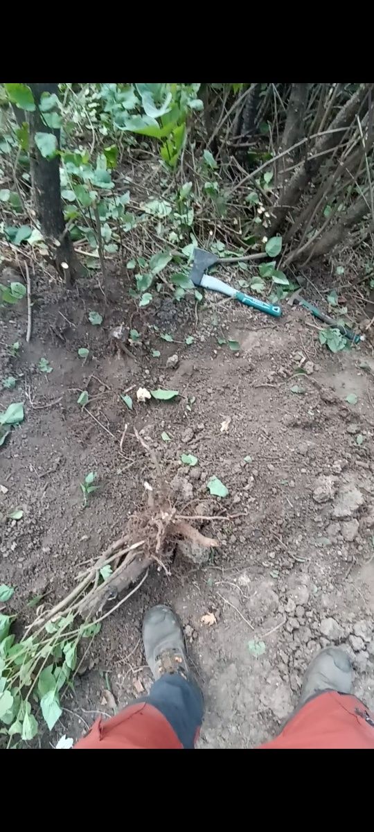Уборка на кладбище