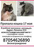 Пропала кошка. Нашедшему вознаграждение.