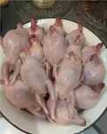 Продам мясо перепелов