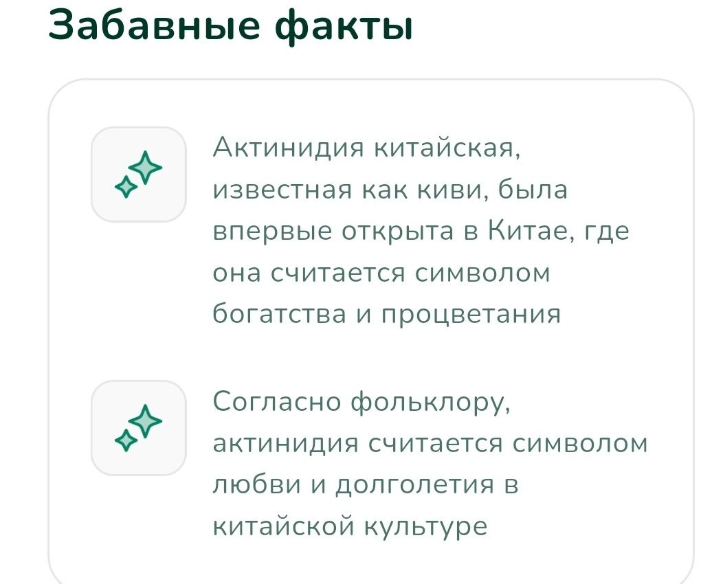 Продам саженцы китайской актинидии Коломикта или Киви