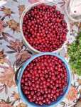 Продам вишню 10л