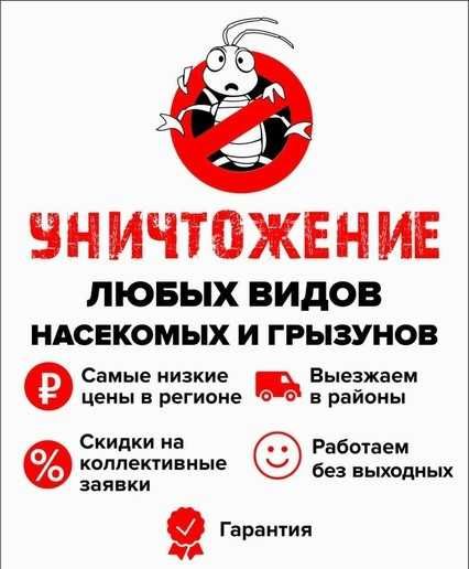 Дезинфекция тараканов ос крыс клопов муравьев Государственная Лицензия