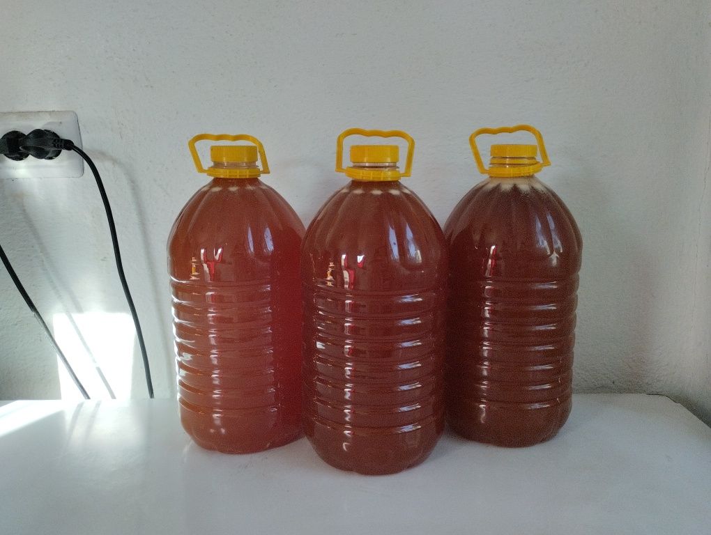 Продам свежий горный мёд
