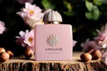 Amouage - Guidance