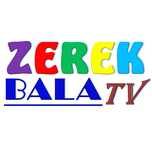 Ютуб канал для детей на казахском языке Zerekbala tv