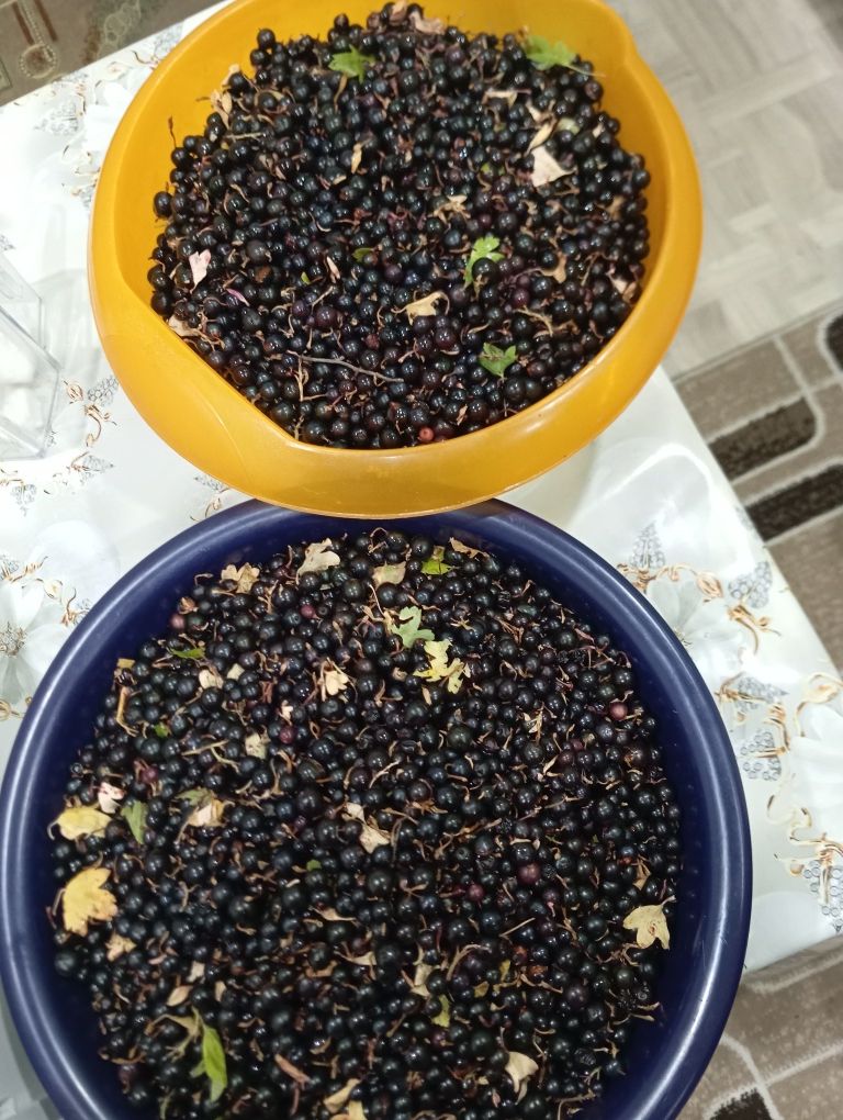 Продам смородину