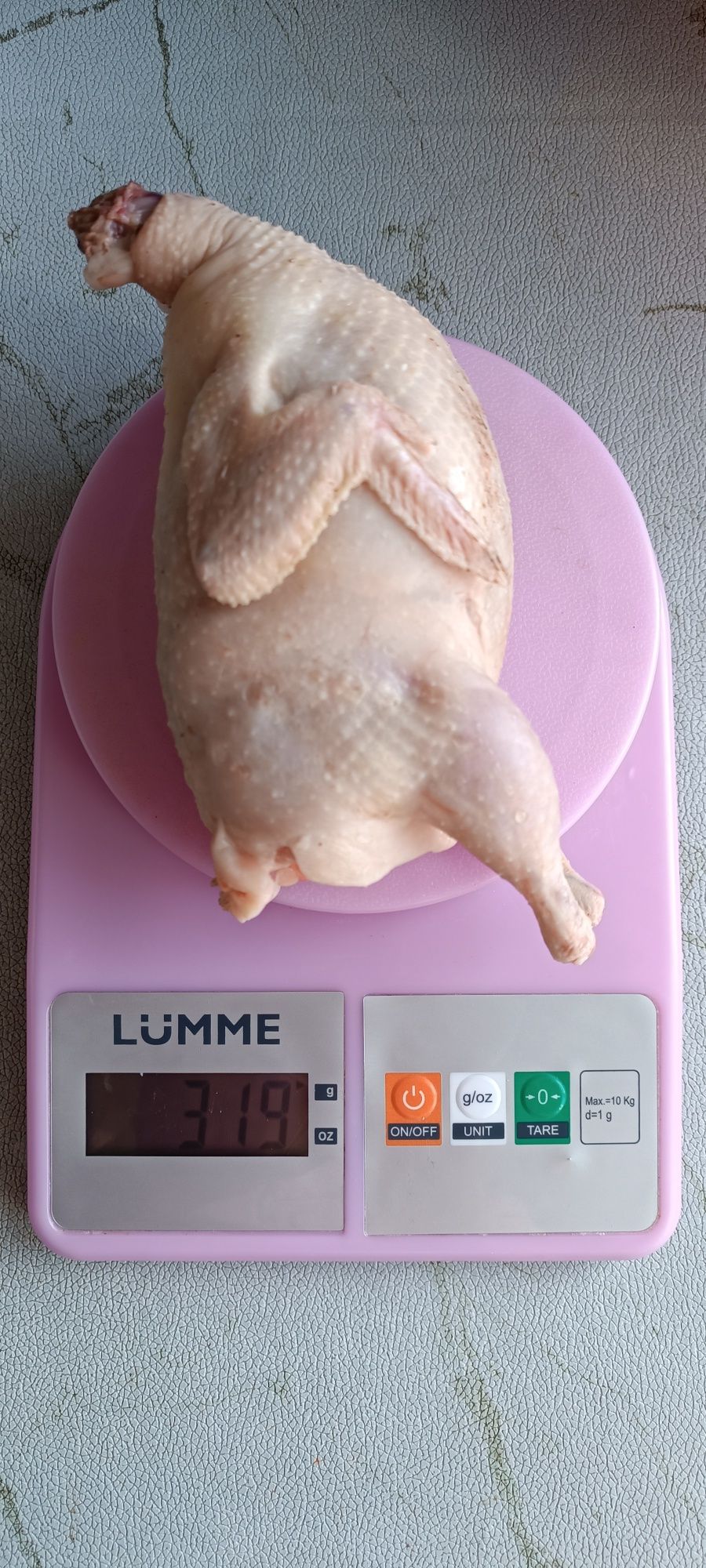 Инкубационное яйцо перепелов породы Белый гигант!