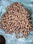 Продам семеную картошку
