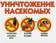 Дезинфекция Уничтожение Клопов. Тараканов ос. крыс муравьи Мышей